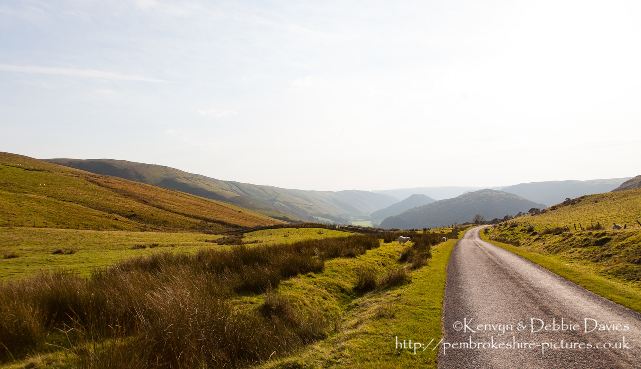 Often overlooked in favour of the Brecon Beacons and Snowdonia, the Cambrian Mountains in mid Wales are beautiful and the source of the Rivers Wye and Severn!